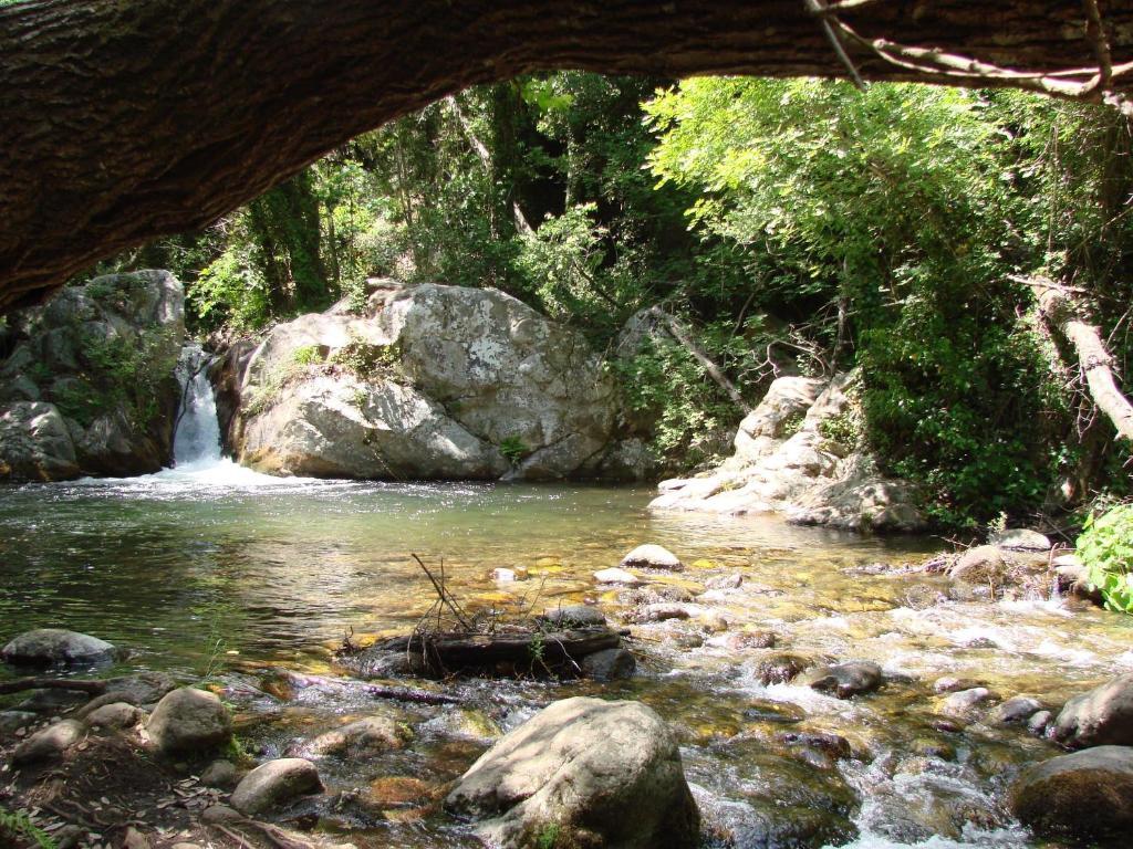 Agriturismo Torre Del Golfo Cropani Bagian luar foto