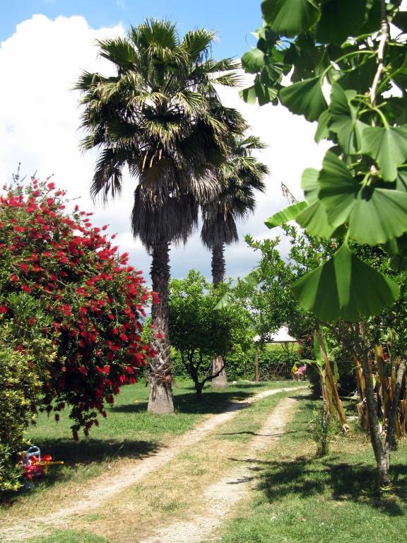 Agriturismo Torre Del Golfo Cropani Bagian luar foto